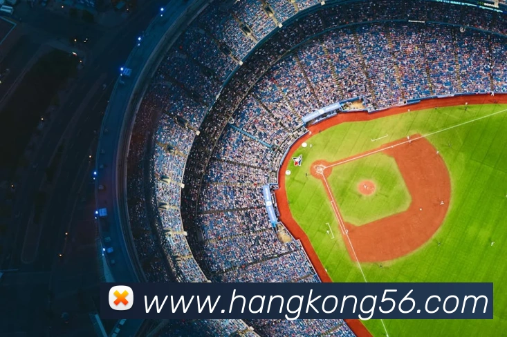 新爱体育官网平台生态图