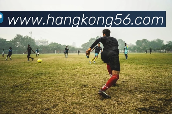 新爱体育官网APP 封面图